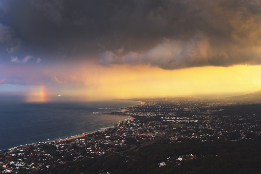 The Wild Wollongong Chilby Photography