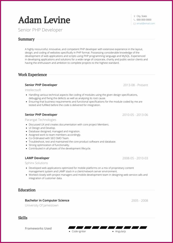 Php Programmer Cv Example