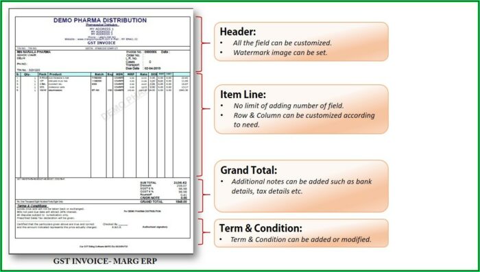 Software Invoice Format