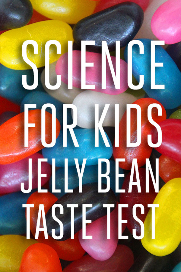 Jelly Bean Taste Senses