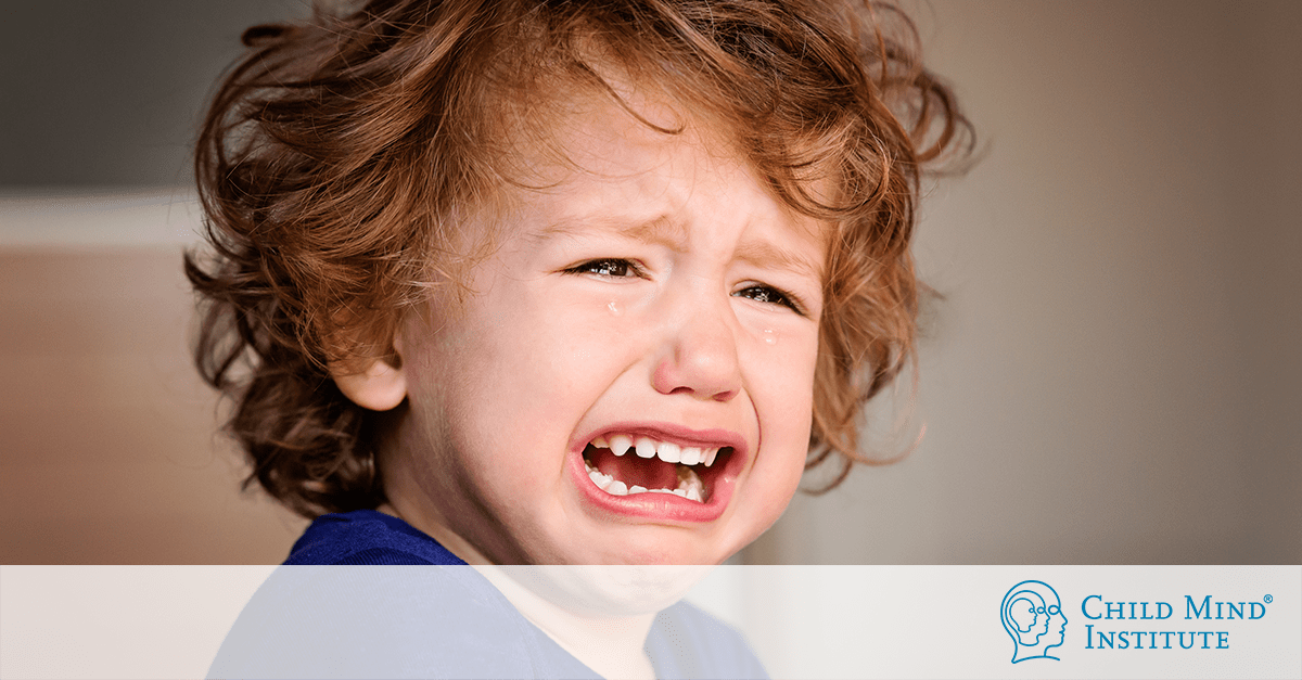 How to Handle Child Tantrums and Meltdowns Behavior Problems Child