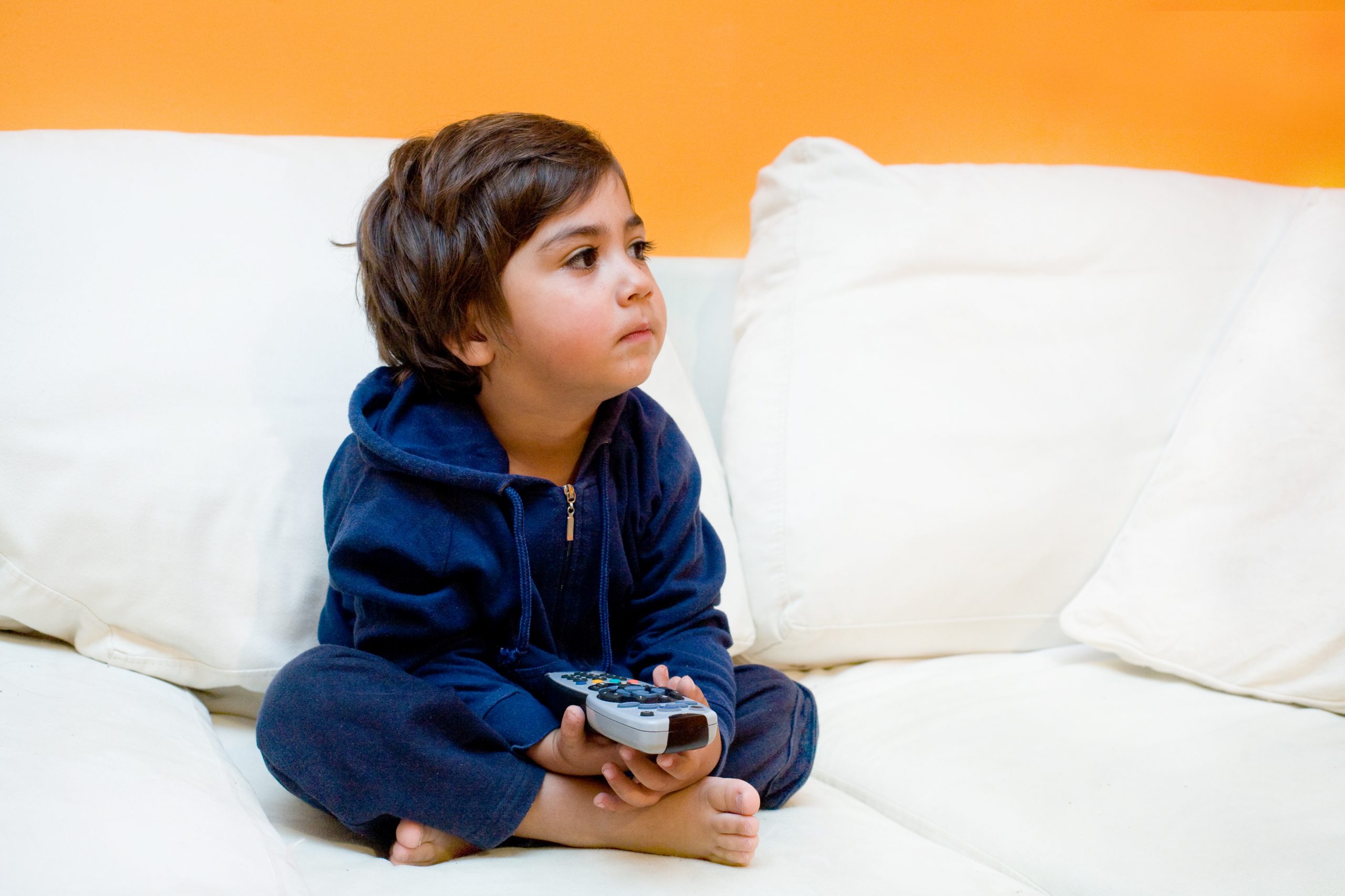 Autism on TV Children's Development Specialist