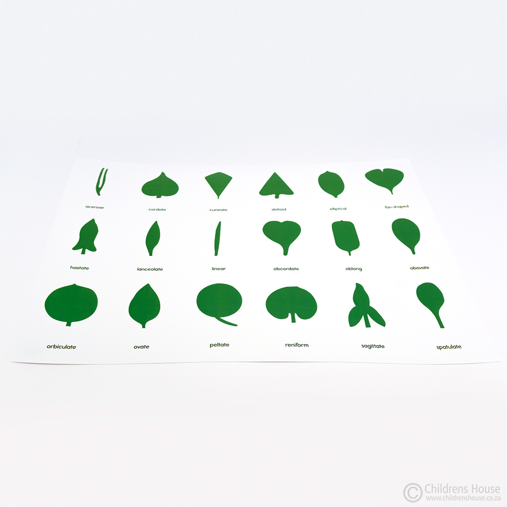 The Botany Control Chart Childrens House Montessori Materials