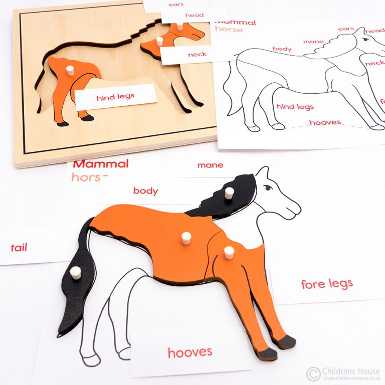 Horse Puzzle Activity Childrens House Montessori Materials name the