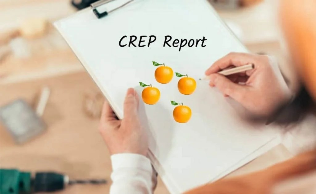 Crep Report 2015 Maxi Cosi seats reated unsafe
