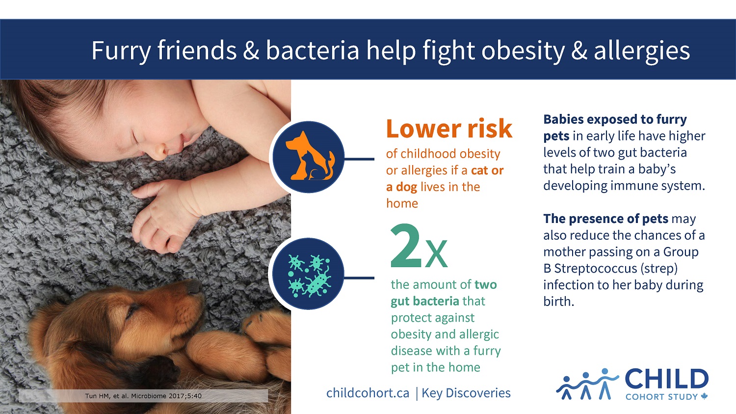 Can Dogs Pass Diseases To Babies