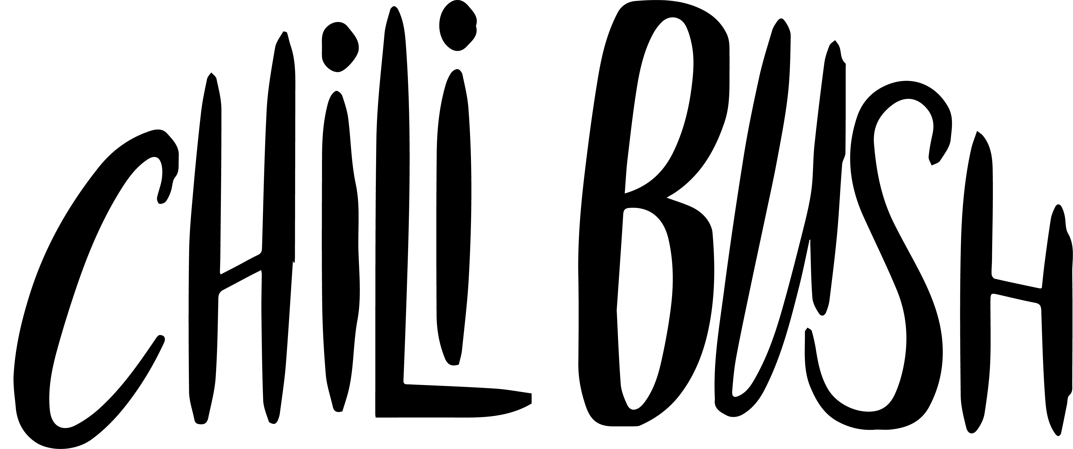 Chili Bush Peri Peri Hot Sauce and Biltong