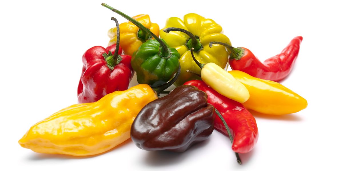 The Top 10 Hottest Chili Peppers In The World Chili Growing