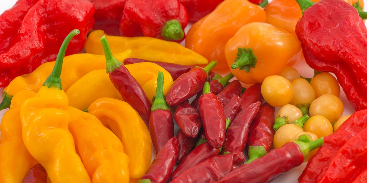 Exploring Chili Pepper Varieties From Mild to SuperHot Chili Growing