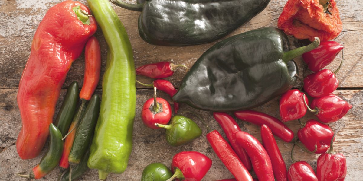 Discover the Secrets of Chili Pepper Cultivation and Cooking with These