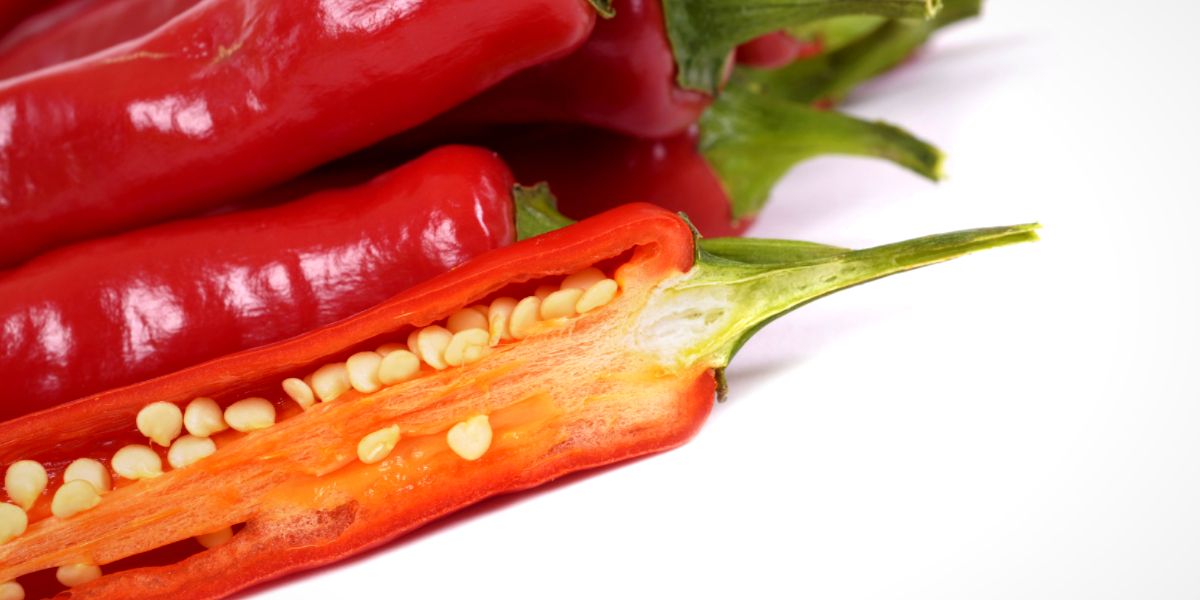 How to Grow Chili Peppers from StoreBought Produce Chili Growing