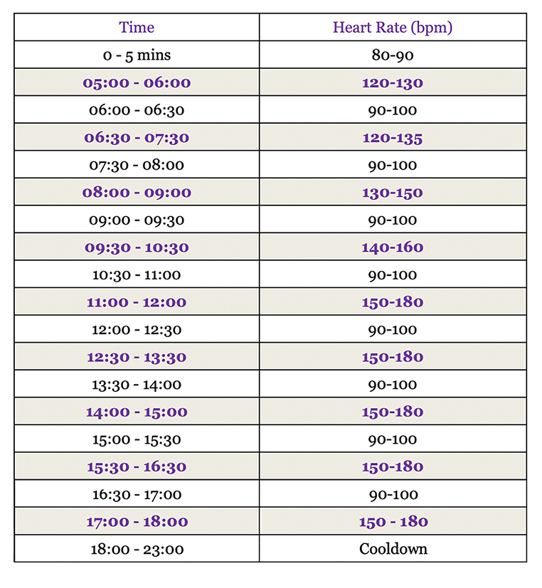 2 New Stairmaster Workouts To Tone Your Thighs [HIIT & LISS Cardio]