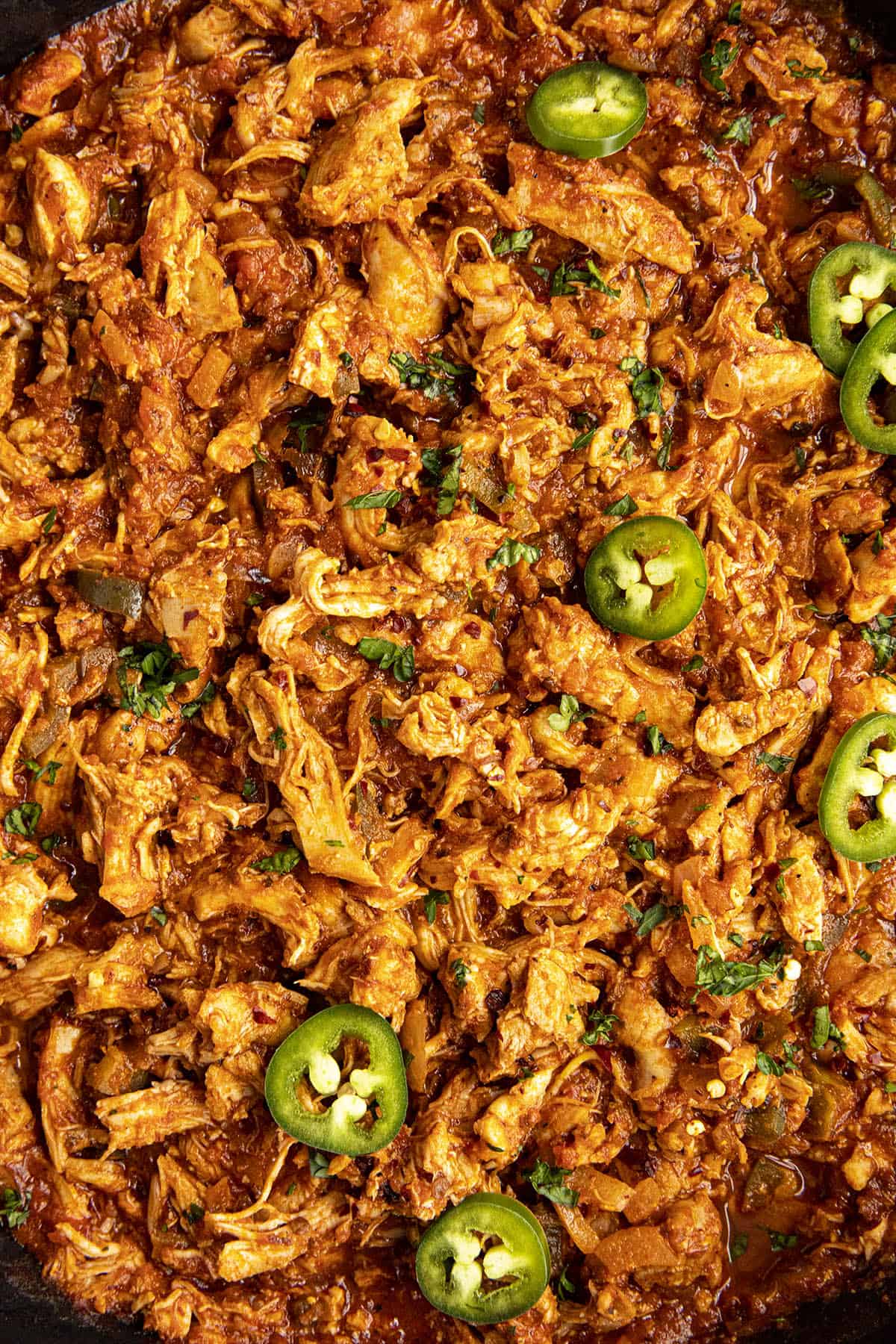 Chicken Tinga Recipe (Chipotle Shredded Chicken) Chili Pepper Madness