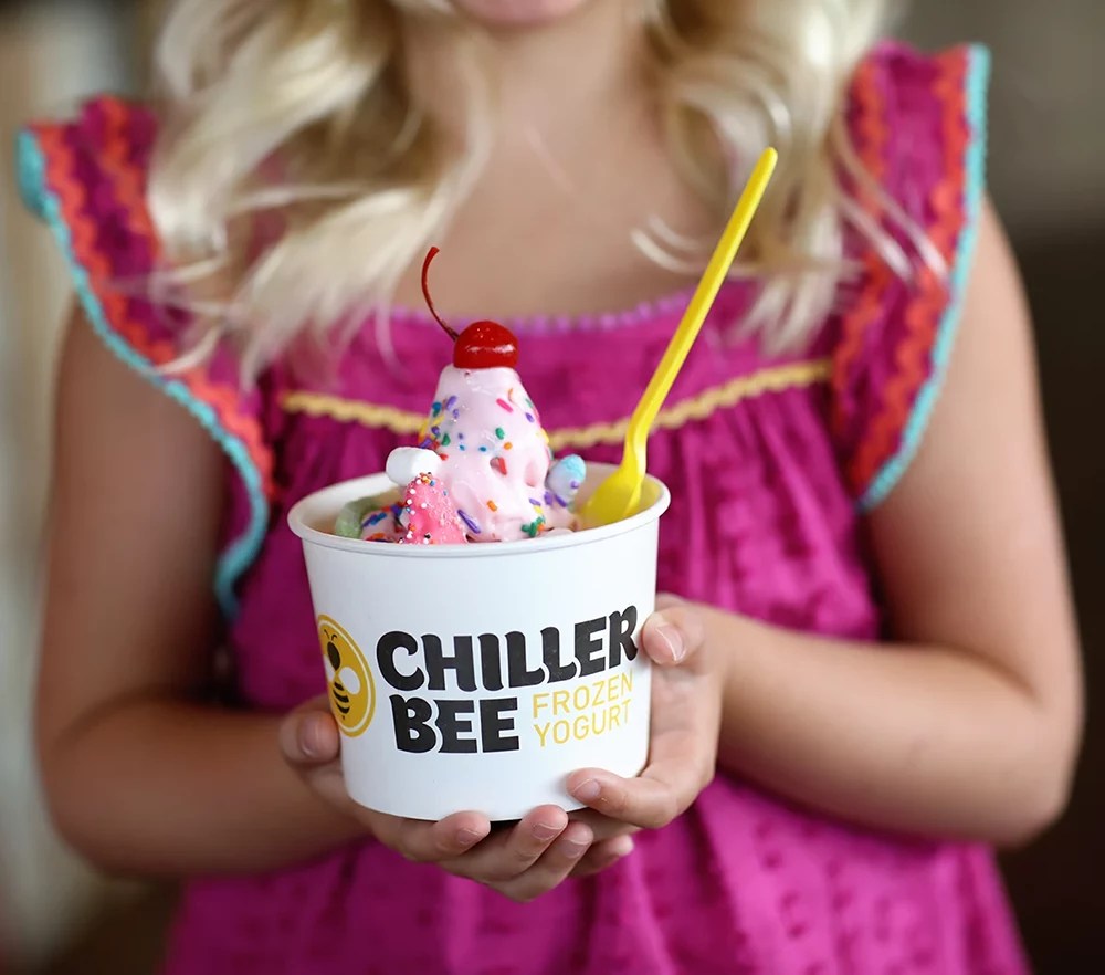 Home Chiller Bee Frozen Yogurt