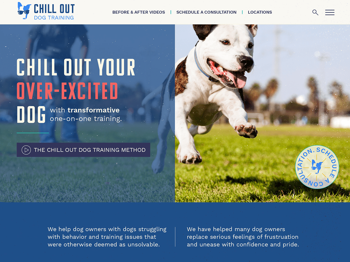Is InHome Dog Training a Fit? Chill Out Dog Training Denver, CO