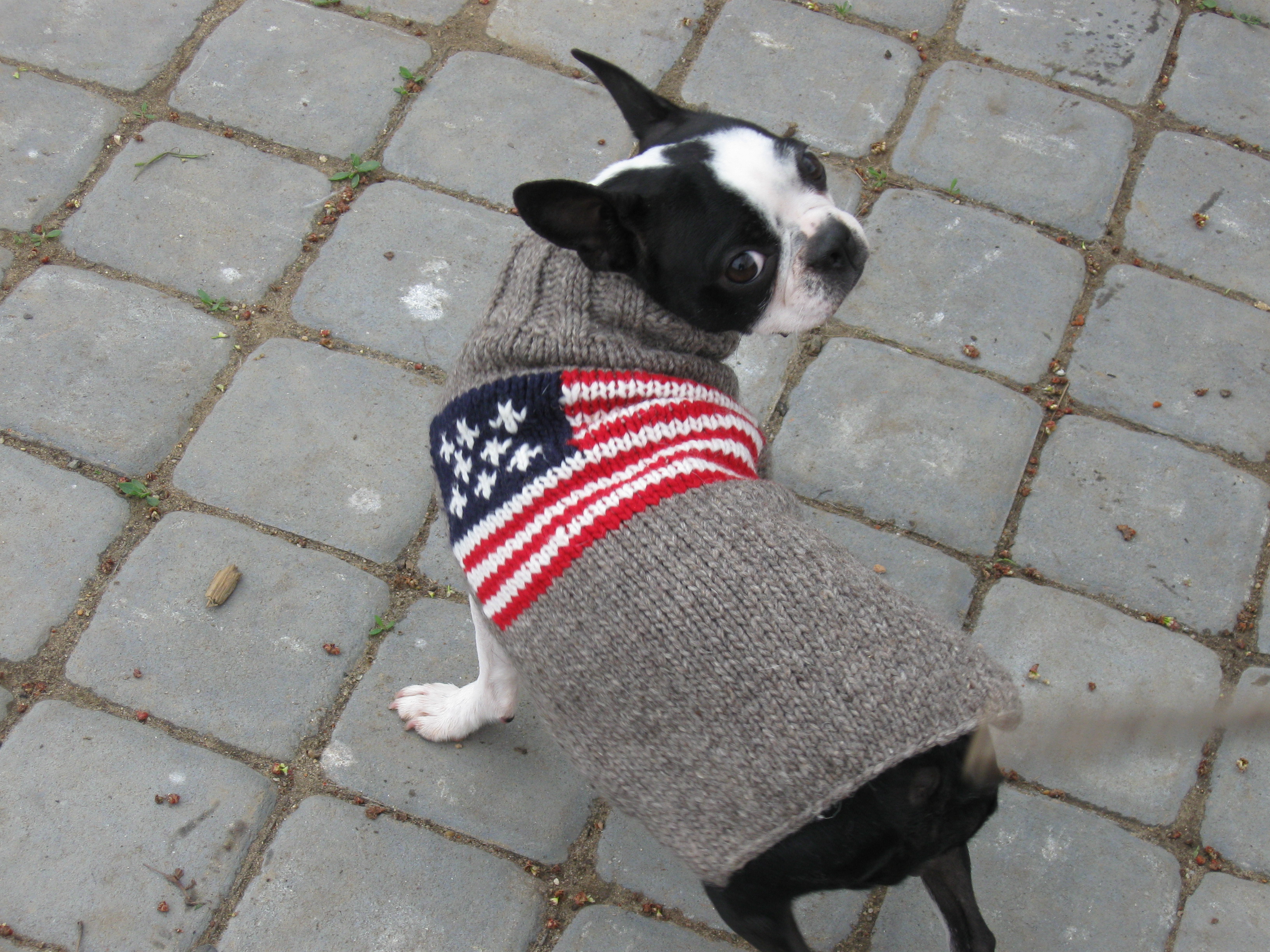 American Flag Dog Sweater Chilly Dog Sweaters