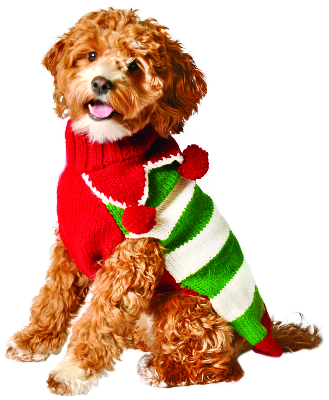 Dogs In Christmas Sweaters