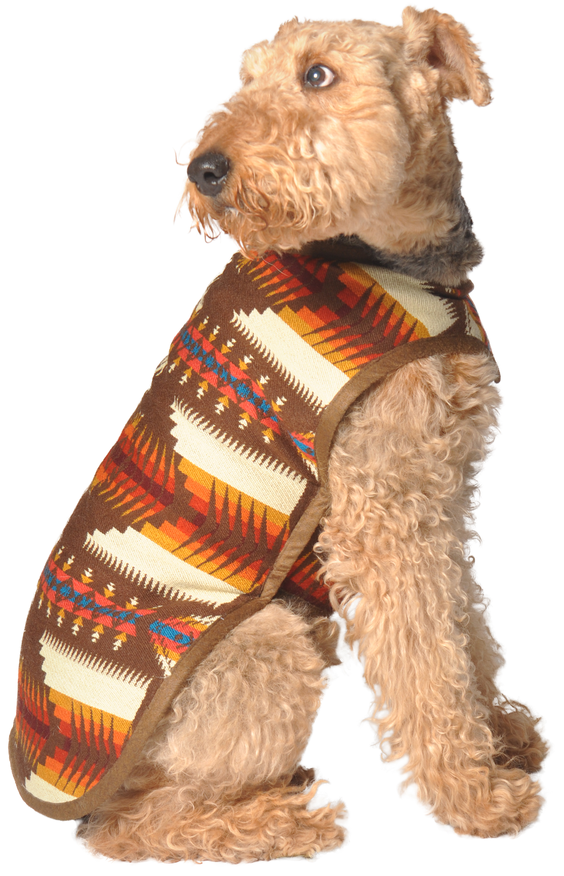 Brown Southwest Blanket Chilly Dog Sweaters