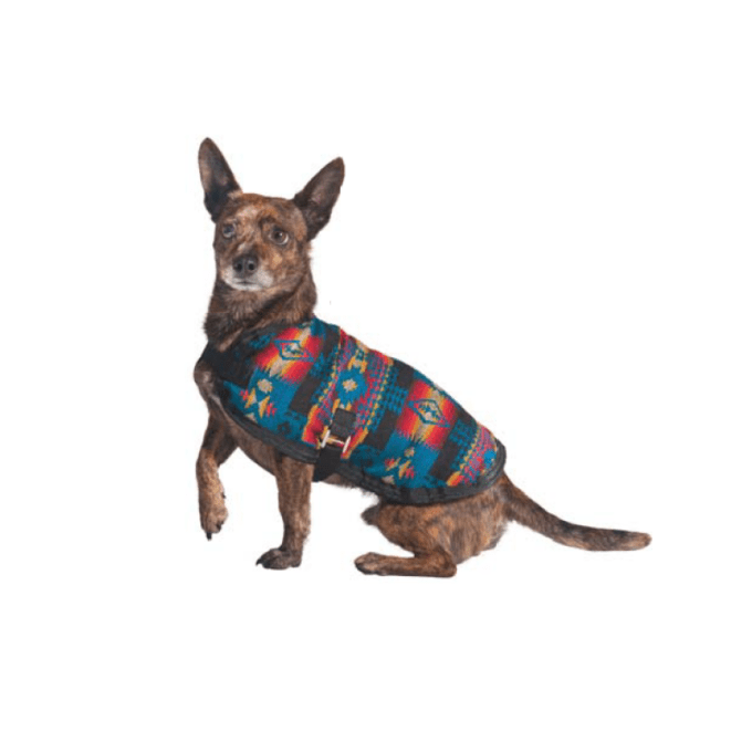 Turquoise Southwest Blanket Dog Coat — Chilly Dog Sweaters