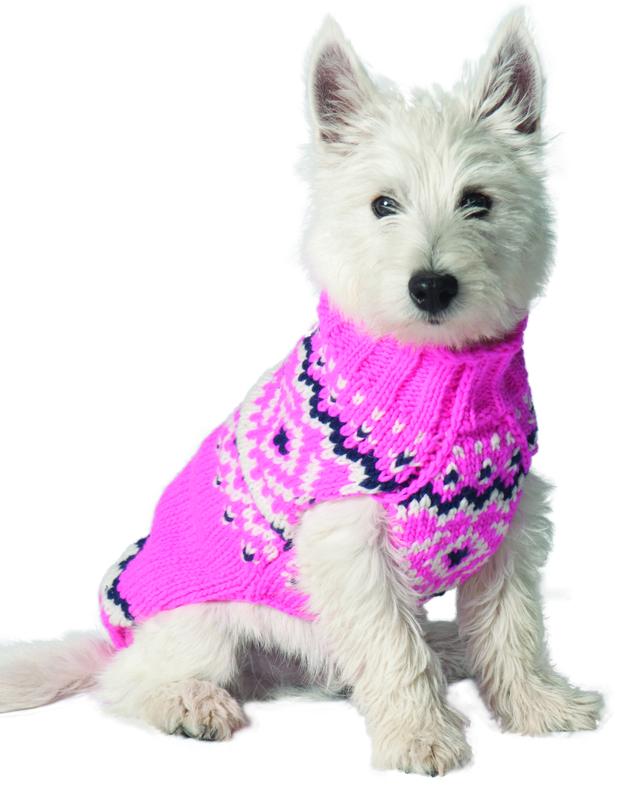 pink dog clothes Cheaper Than Retail Price> Buy Clothing, Accessories