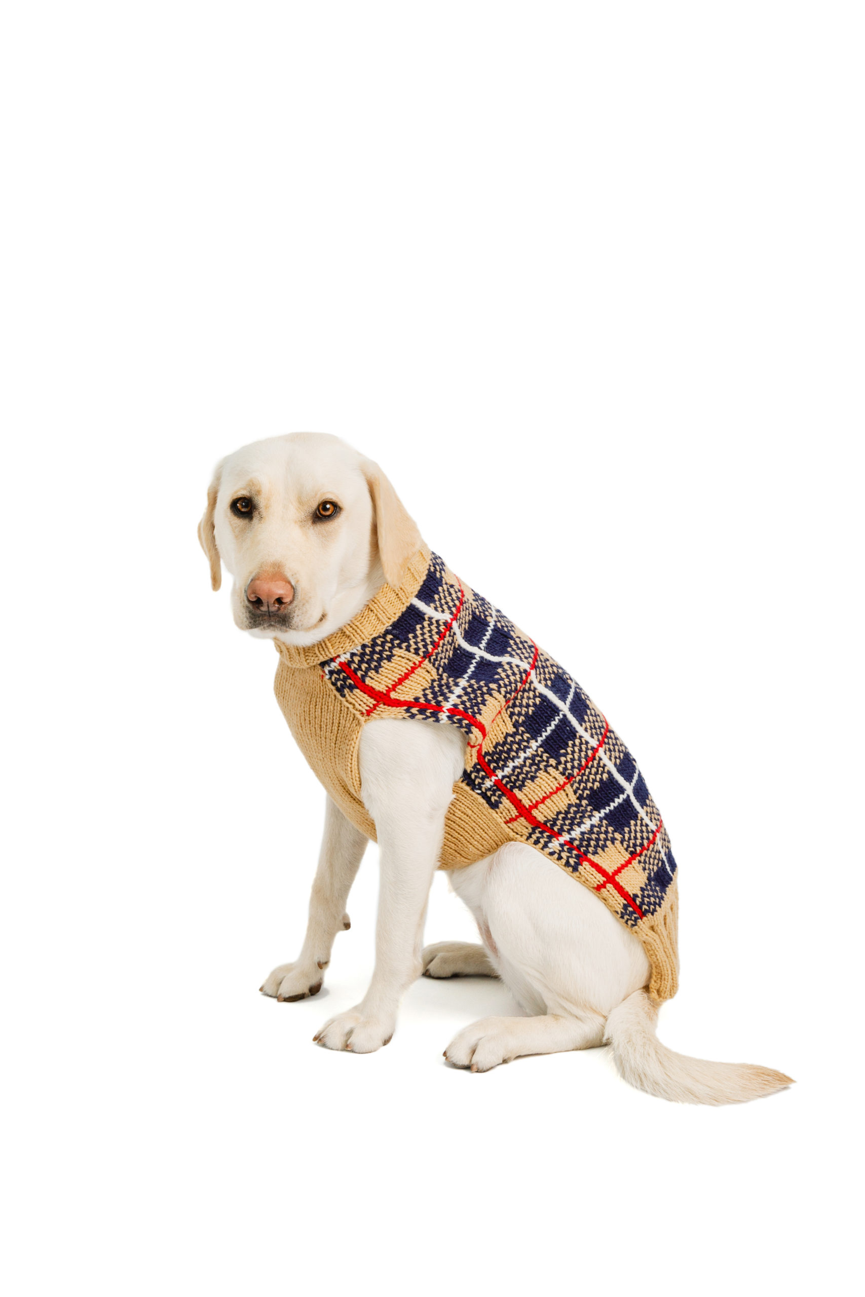 Beige Dog Sweater Crochet Dog Sweater Handmade Dog Sweater Small