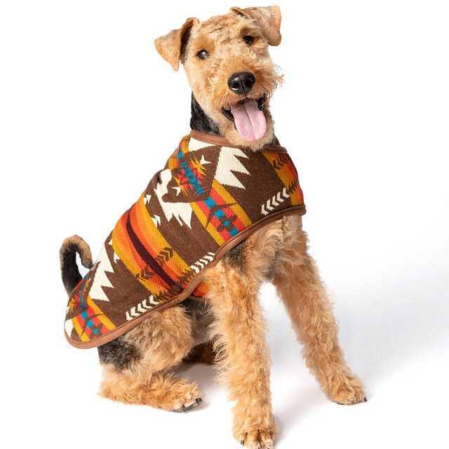 Brown Southwest Blanket Dog Coat — Chilly Dog