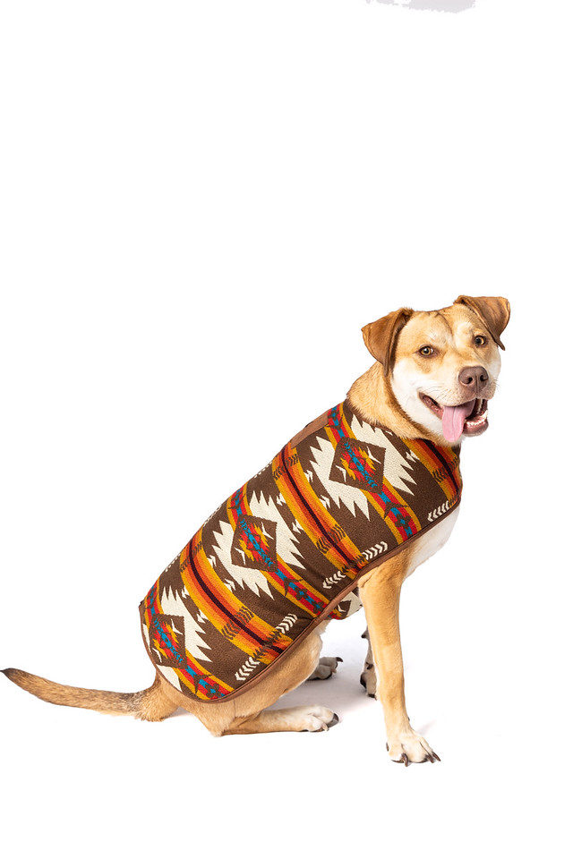 Coats Archives Chilly Dog Sweaters