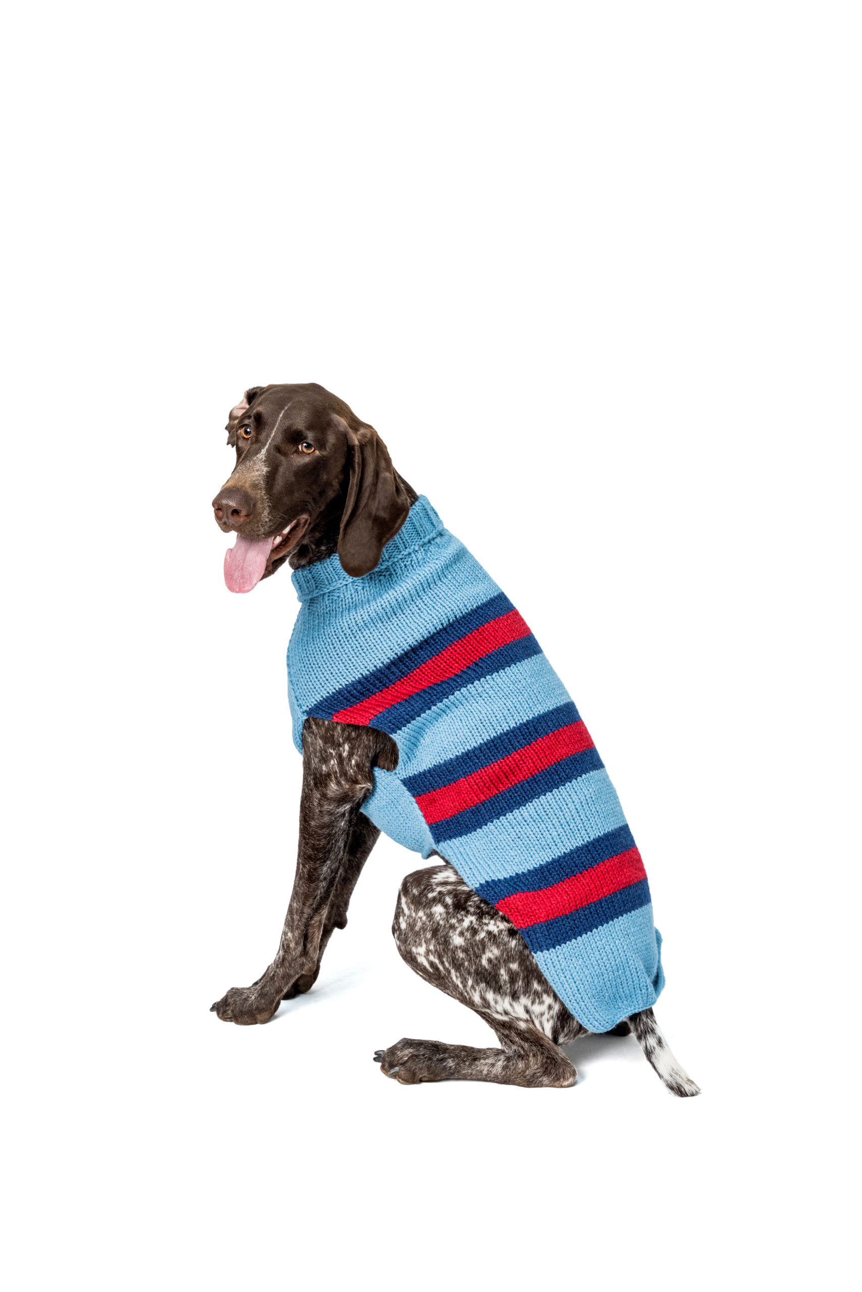 Sale Archives Chilly Dog Sweaters