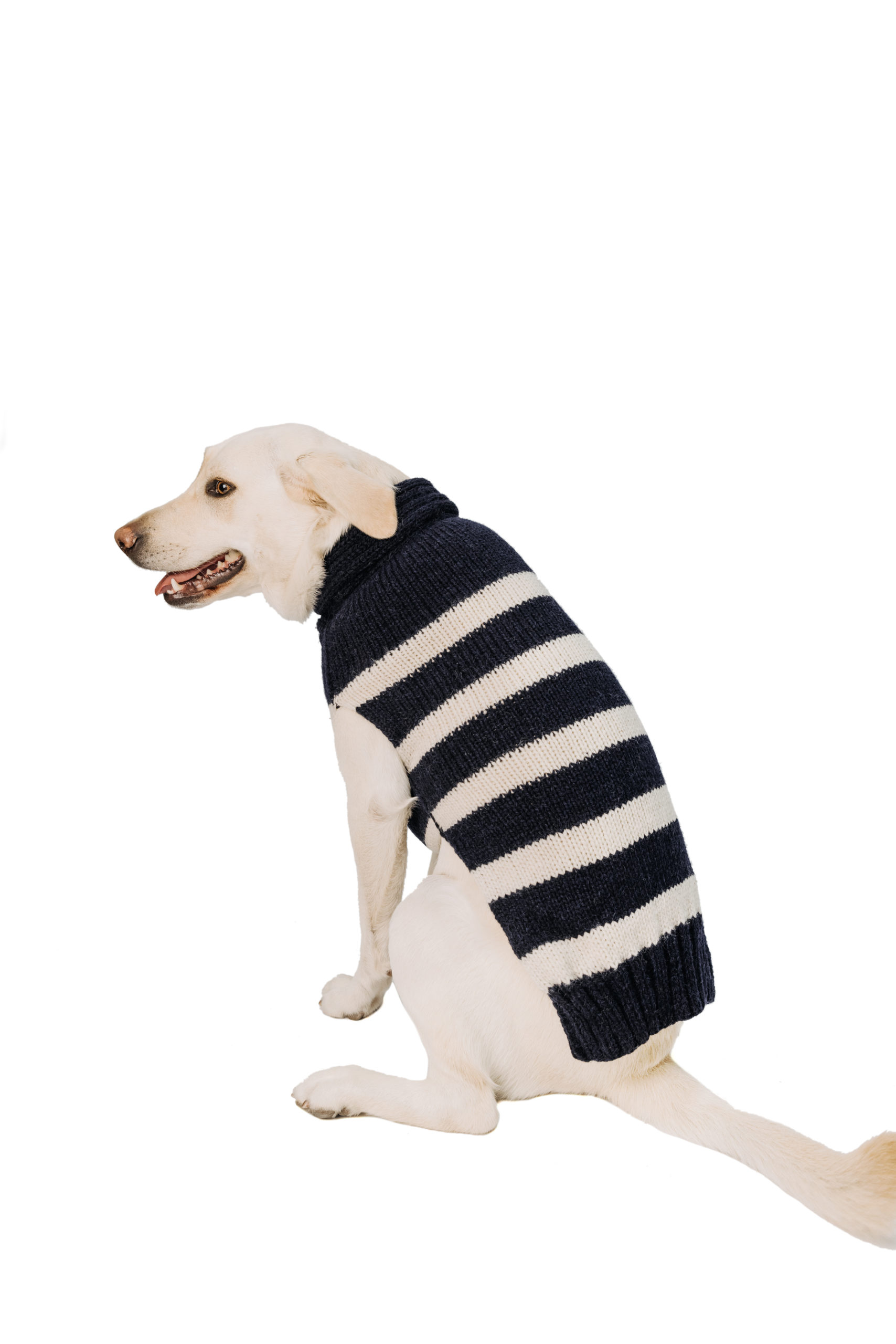 Sweaters Archives Chilly Dog Sweaters