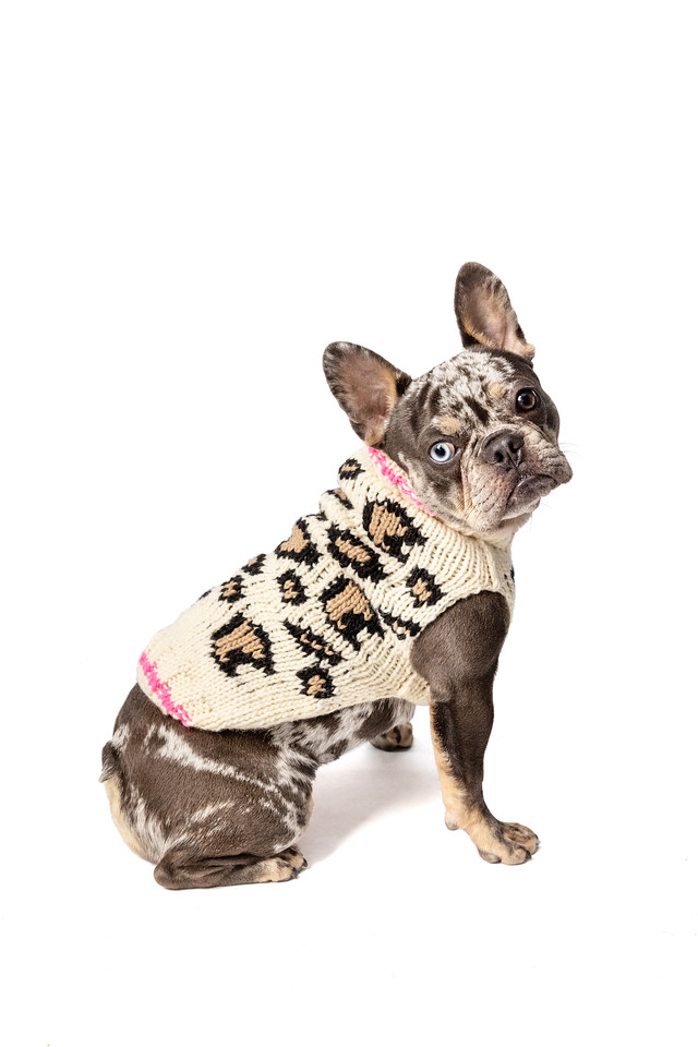Leopard Print Dog Sweater — Chilly Dog
