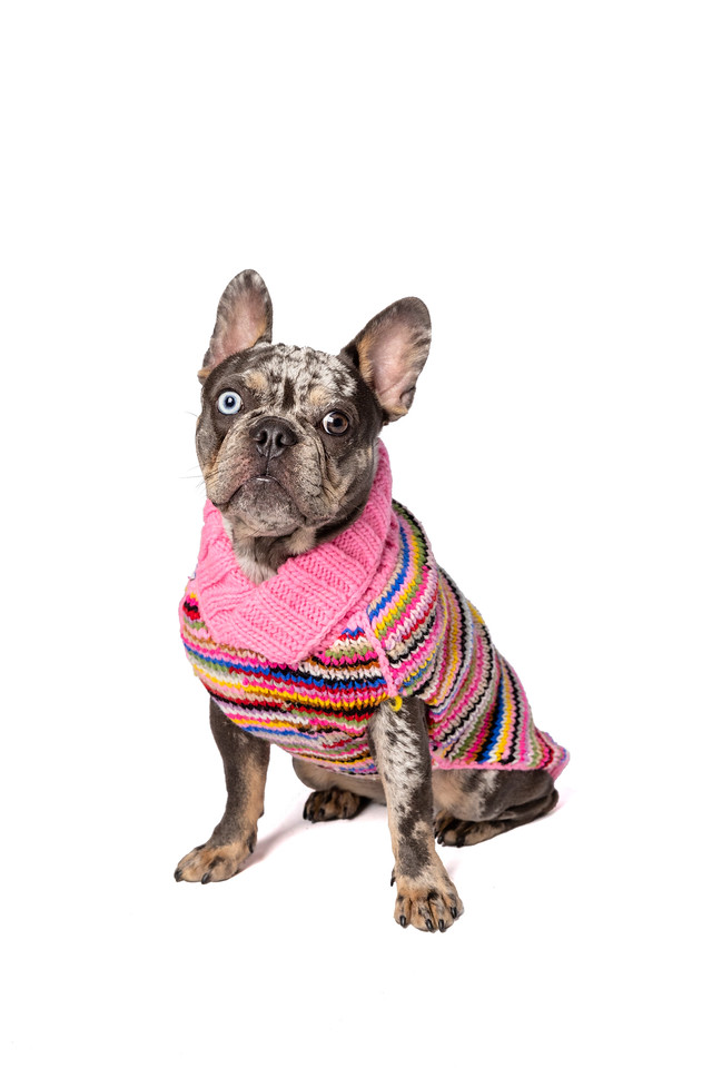 Pink Multi Dog Sweater