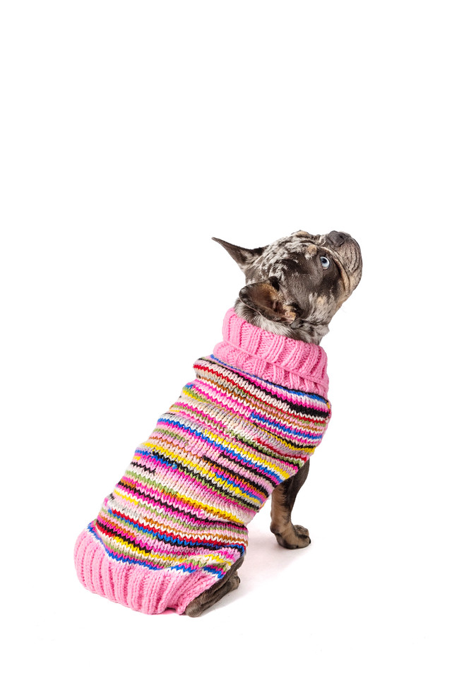 Pink Multi Dog Sweater