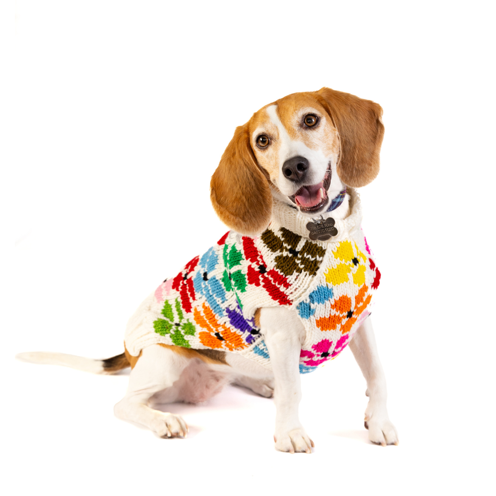 Bloom Dog Sweater — Chilly Dog