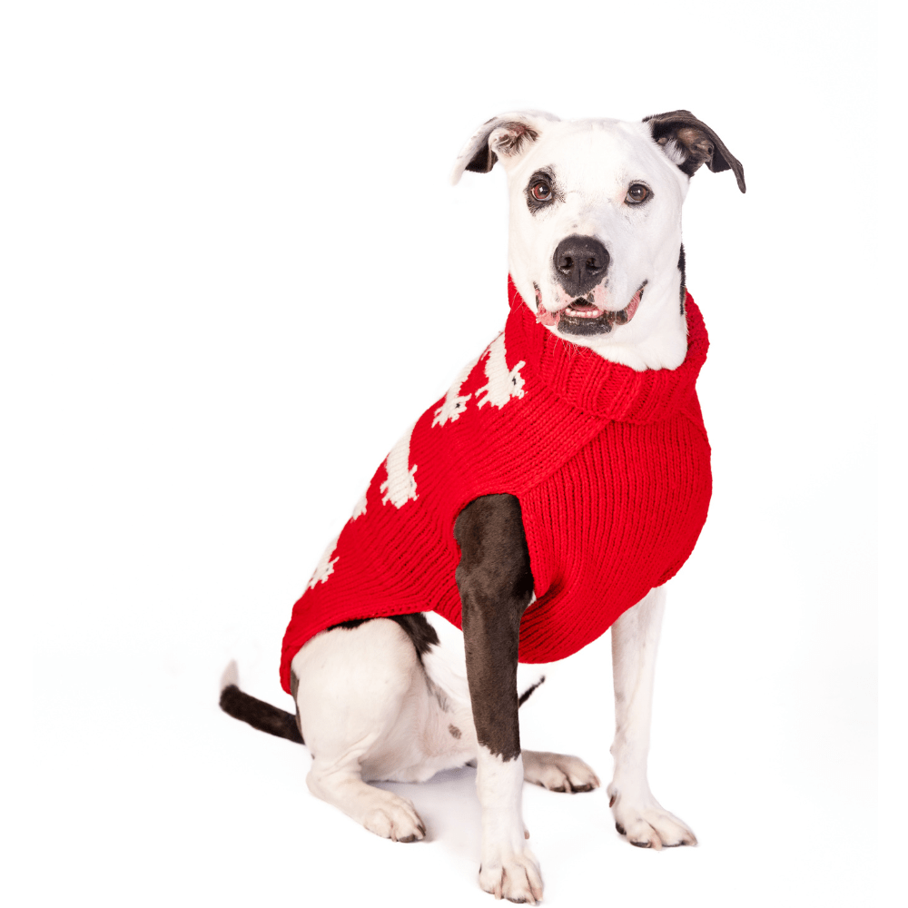 Black Sheep Dog Sweater Chilly Dog