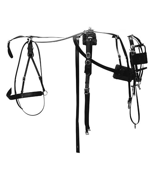Horse Buggy Harness