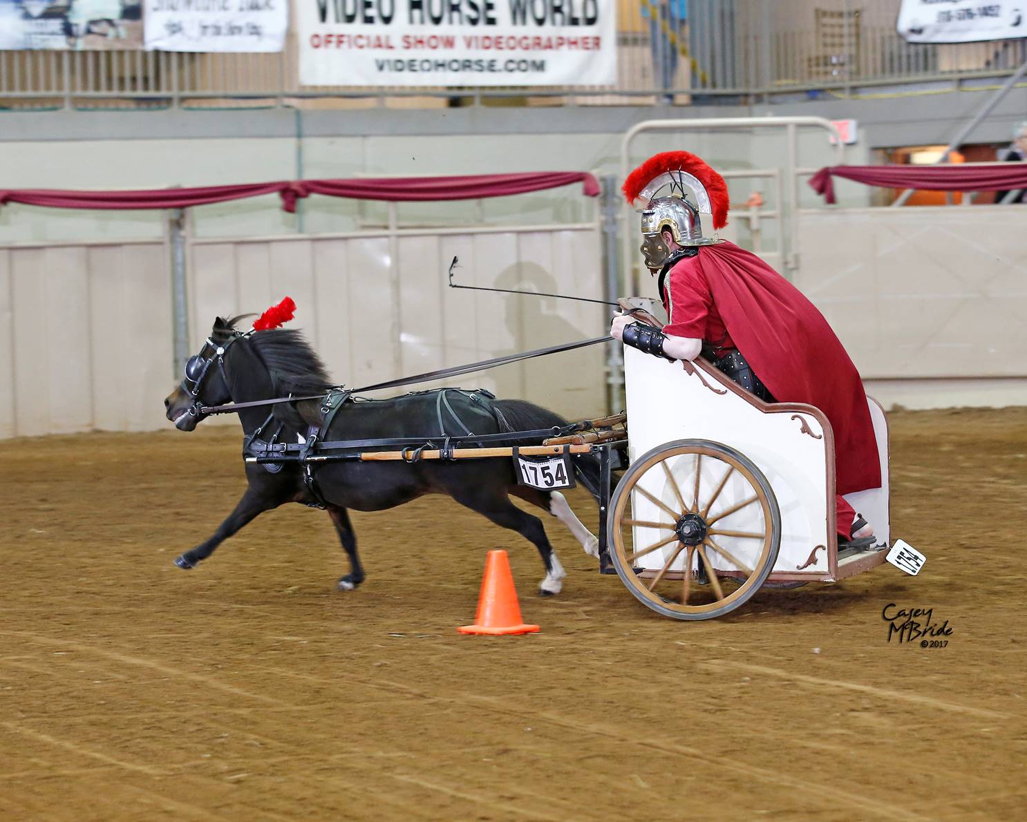 Bring on the Chariot Part Two! By Daniel Crider Chimacum Tack