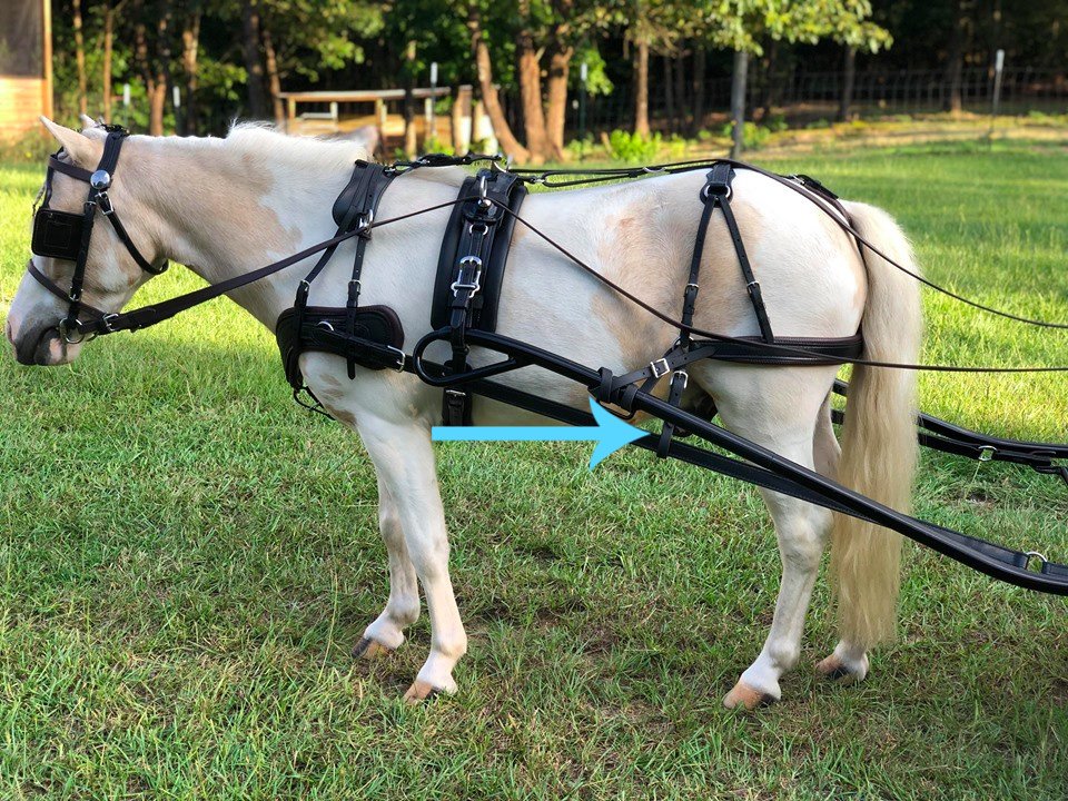 Tuesday Tip Trace Carriers Chimacum Tack
