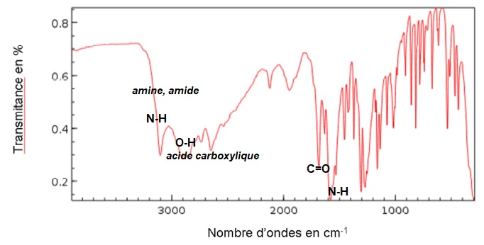 Un acide aminé, la glutamine, Bac S Polynésie 2018