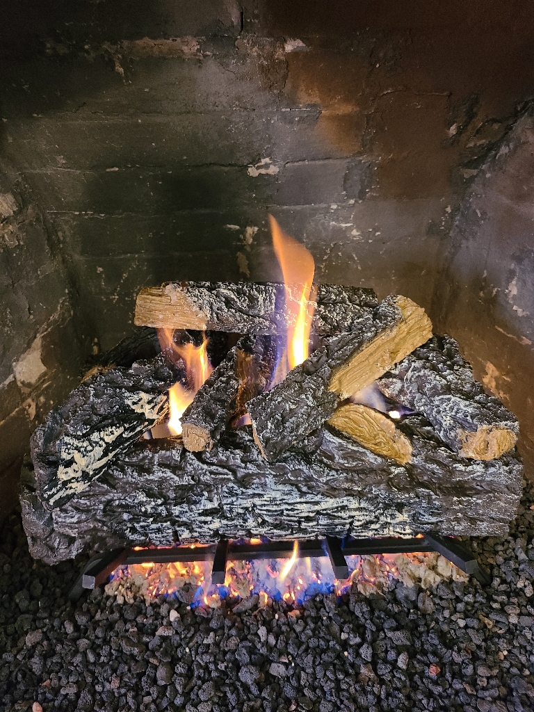 Gas Logs in DFW and Houston Chimney & Wildlife