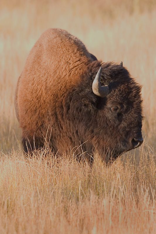 Click here to add text.