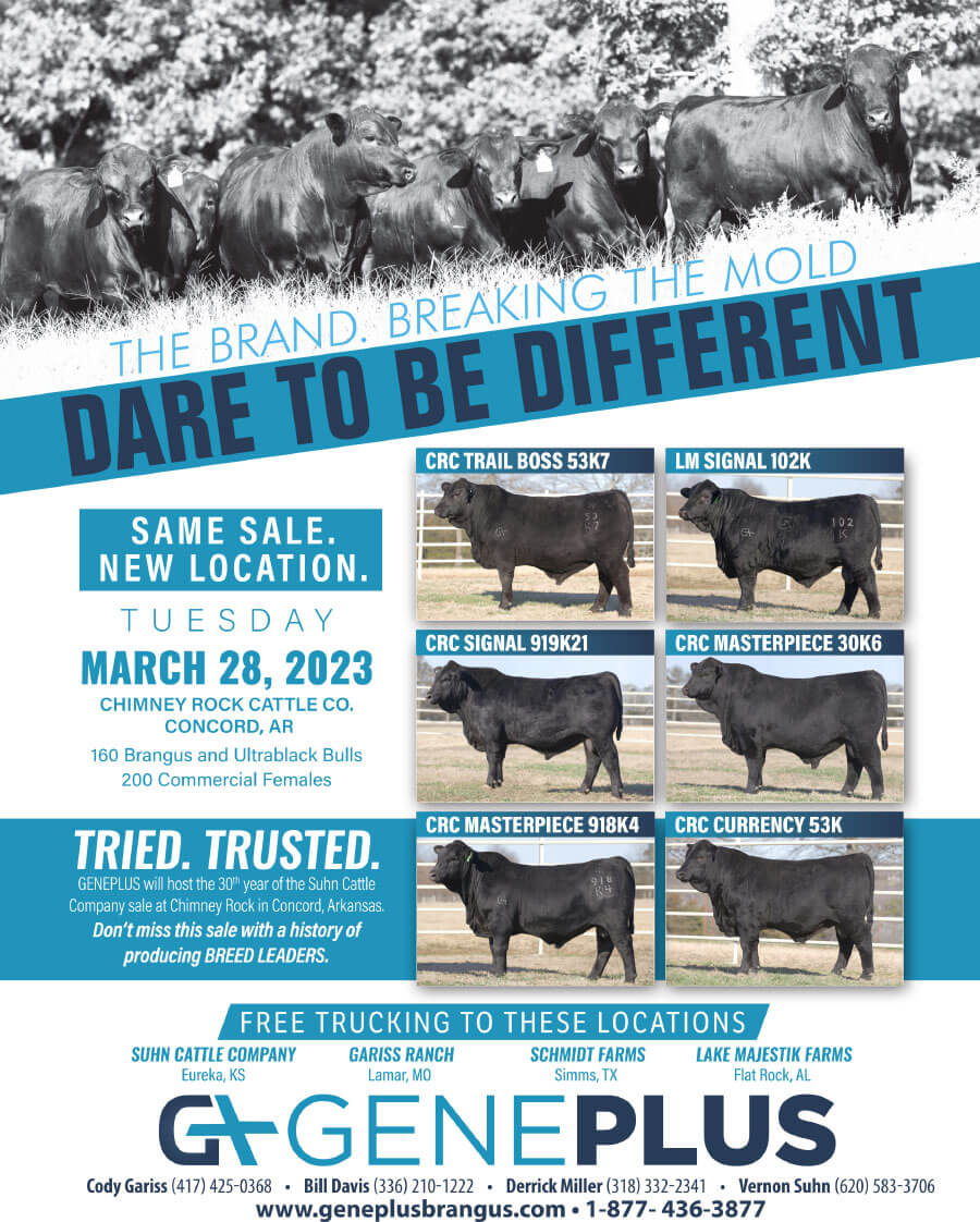 Sales Chimney Rock Cattle