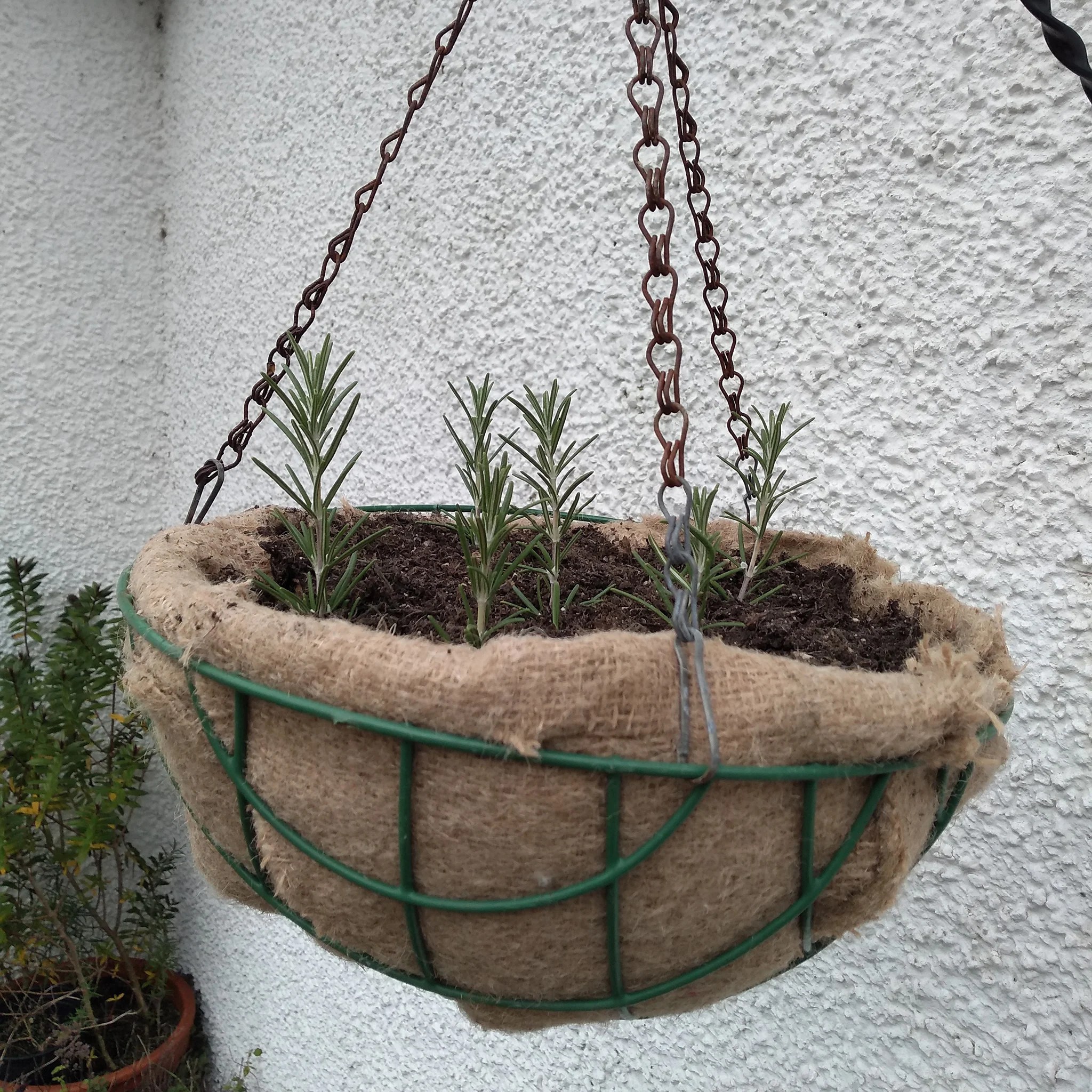 Jute Hanging Basket Liners Pack of 2 Chimney Sheep
