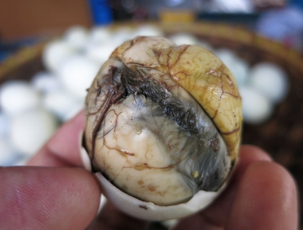 8 Animals Eaten Alive in China Graphic Content China Underground
