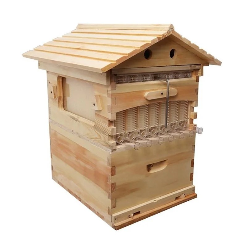 Flow hive Auto flow honey beehive China Bee Supply