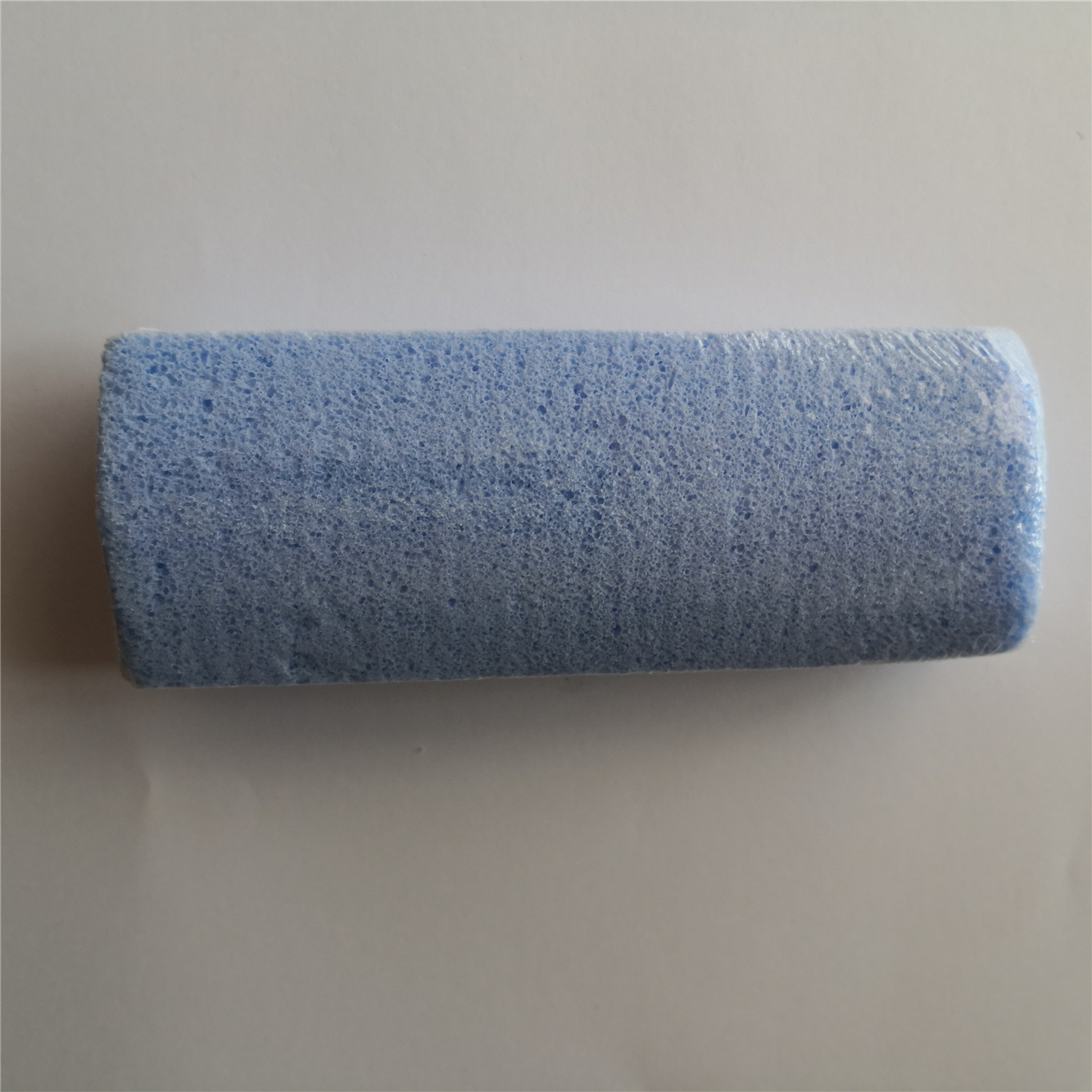 Pet Hair Remover Stone