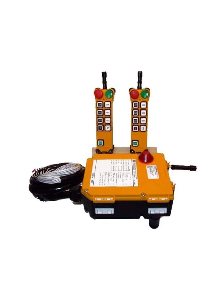 F248D2X radio type remote control