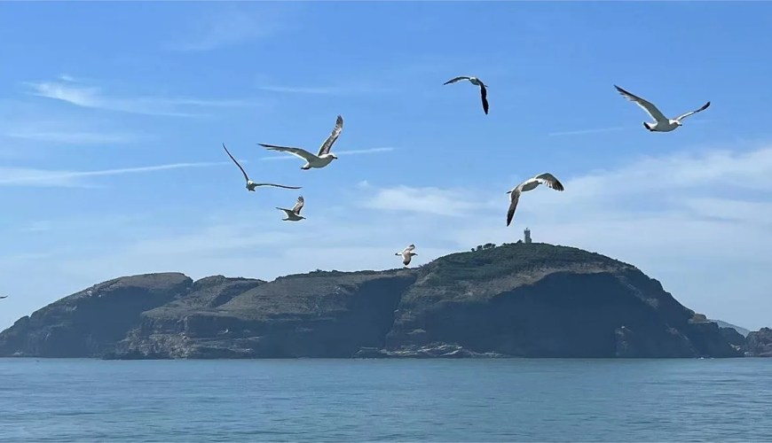 Hailv Island (Sea Donkey Island), Weihai Hailv Island (Sea Donkey Island), Weihai