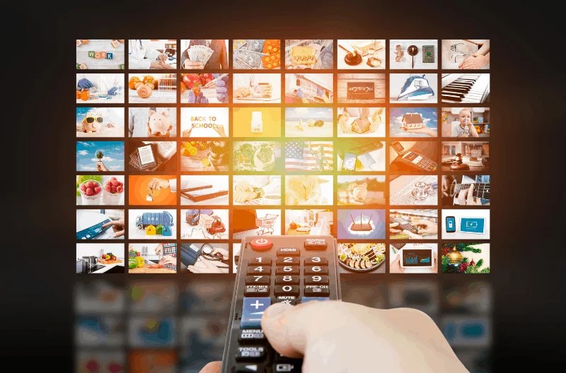 Do Chinchillas Really Watch Television, Or Is That Just A Myth