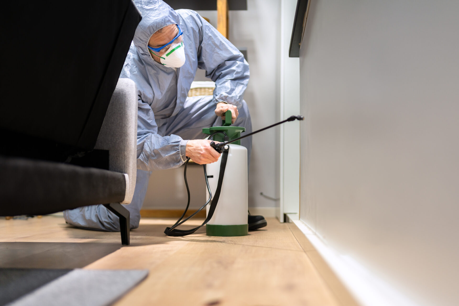 WDO / Insect Inspection Northern VA Home Inspector