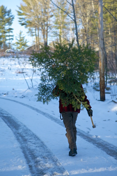 Christmas tree 4